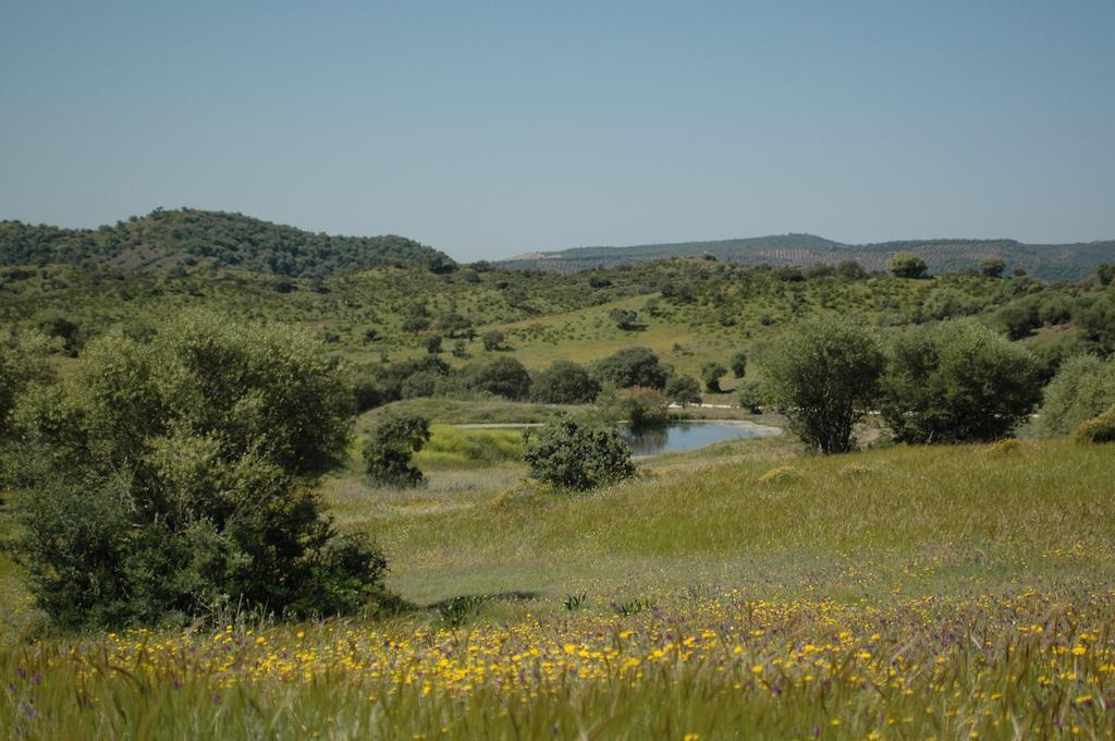 Hostel Albergue Rural De Fuente Agria *